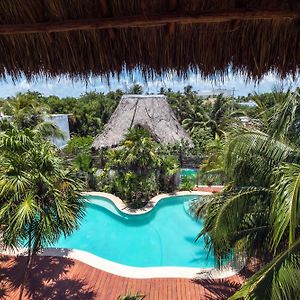 La Palma Holbox
